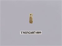 藏品(中點良苔蛾)的圖片